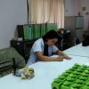 เมื่อวันที่ 18 ตุลาคม 2559 สหกรณ์ออมทรัพย์สาธารณสุขพัทลุงจำกัด ออกหน่วยเคลื่อนที่โรงพยาบาลศรีบรรพต